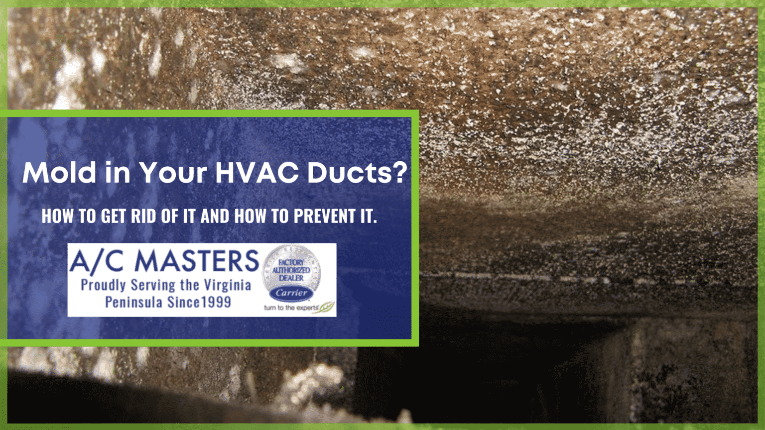 Mold in Your HVAC Ducts? How to Get Rid of it and How to Prevent it